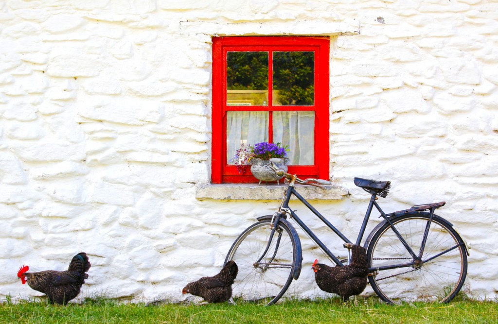 Timber Window