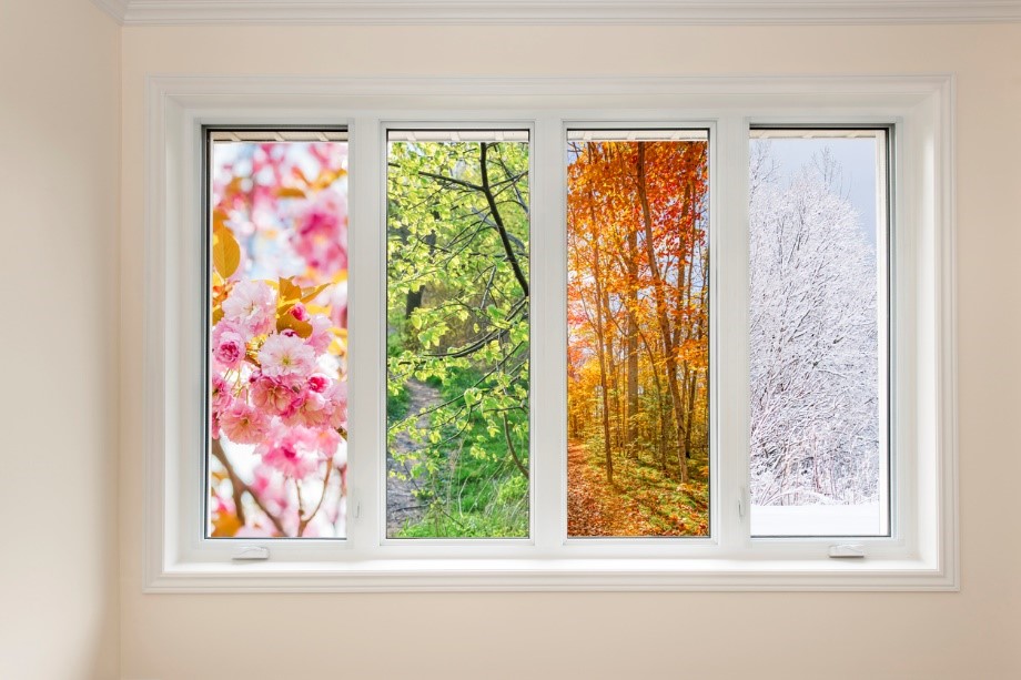 A window with four windows with trees in the background